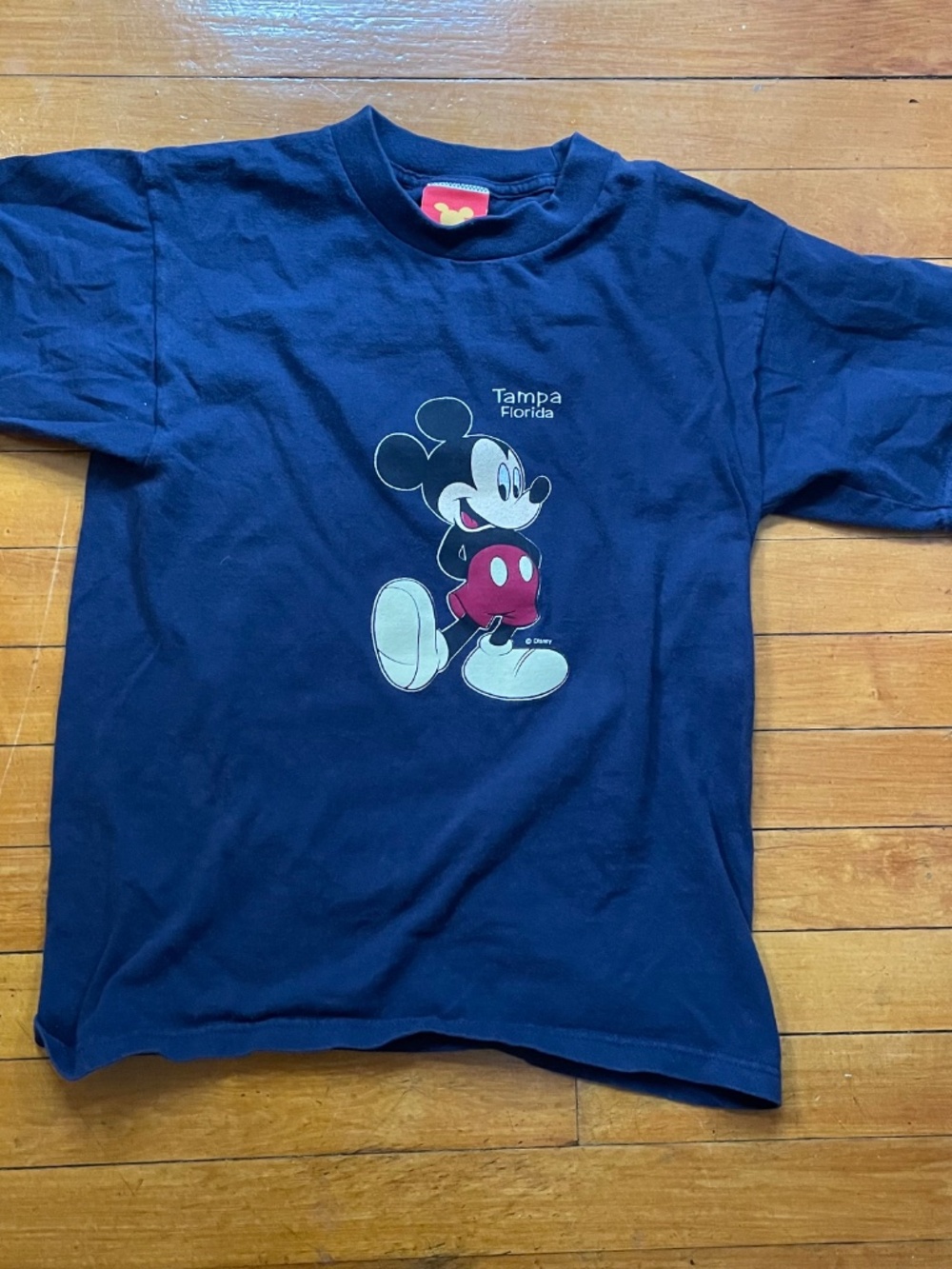 Vintage 90s Y2K Disney Mickey Mouse T-Shirt Tampa Florida Blue Sz XL Youth